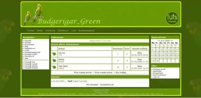 Budgerigar_Green